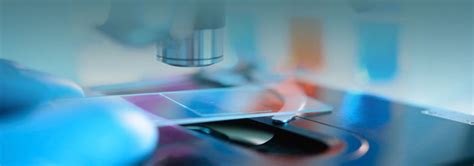 pathology services melbourne pathologist bundoora family clinic hub