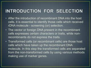 Selection Screening Of Recombinant Cells Expression Of Recombinant