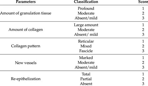 Histological Parameters For Skin Wound Healing Assessment Download