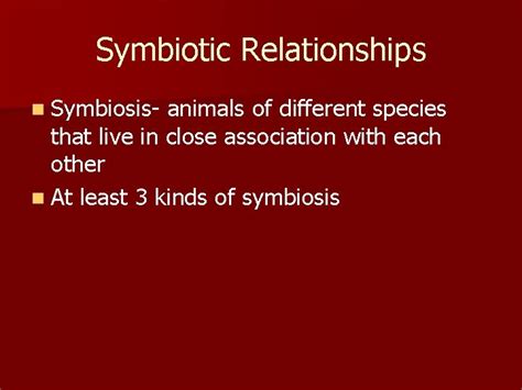 Parasites Symbiotic Relationships N Symbiosis Animals Of Different