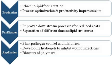 Rhamnolipid Biosurfactants Ju Research Group