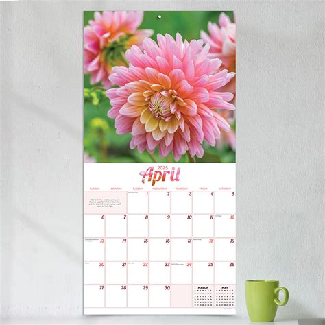 2025 Flowers Wall Calendar Tf Publishing Calendars Planners