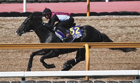 1頭調整の豪州ではボーッとダノンプレミアム栗東に戻り「ピリッとしてきた」打倒アーモンドアイへ着々：中日スポーツ・東京中日スポーツ