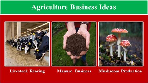 Profitable Agriculture Business Ideas With Low Investment