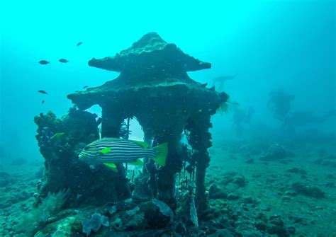 Bali Diving Into The Unknown Unveiling Bali S Premier Dive Sites For