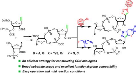 Design And Synthesis Of Cyclic Dinucleotide Analogues Containing