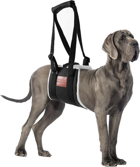 S Etovus Dog Sling For Back Legs Dog Lift Harness Velcro