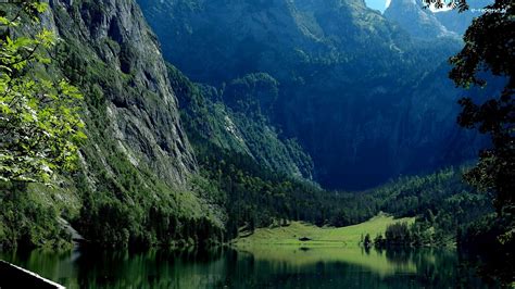 Lasy Góry Park Narodowy Berchtesgaden Alpy Berchtesgadeńskie