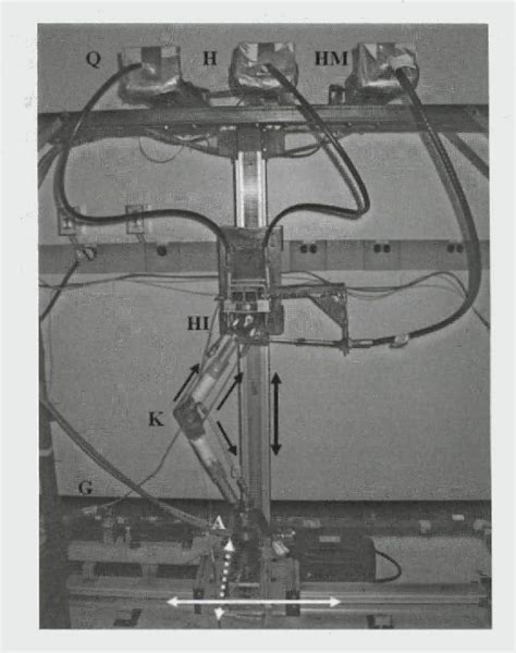 Figure 2 From Combined In Vivo In Vitro Method To Study Anteriomedial