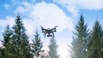 More Than One Million Mangrove Seeds Planted By Drones In Abu Dhabi