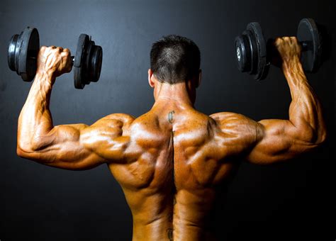 routine  shoulder workout health articles magazine