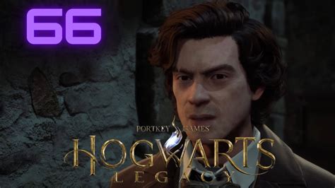 HOGWARTS LEGACY Let S Play Folge 066 Wer Steckt Hinter Den Demiguise