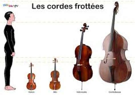 Les cordes frottées Orchestre National de Bretagne