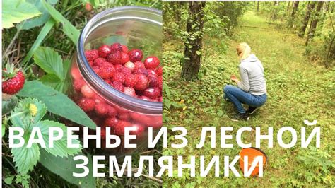 ВАРЕНЬЕ ИЗ ЛЕСНОЙ ЗЕМЛЯНИКИ! - YouTube