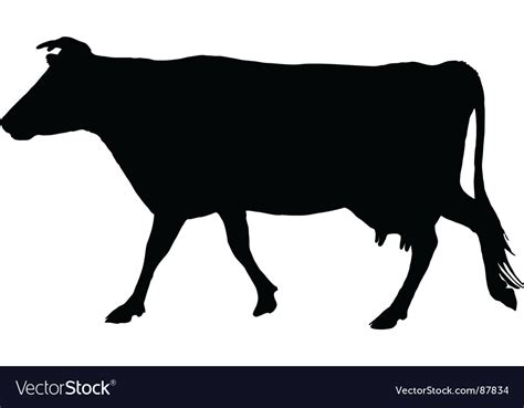 Cow silhouette Royalty Free Vector Image - VectorStock