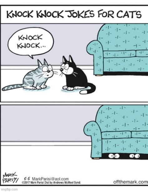 Image Tagged In Memes Comics Cats Knock Knock Jokes Hiding Imgflip