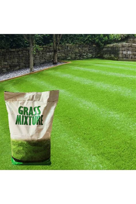 GRASS MIXTURE 6 Karışımlı Ithal Çim Tohumu 5 kg Fiyatı Yorumları