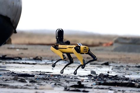 Robot Dog Inspects Wreckage Site After Elon Musk's SpaceX Rocket ...