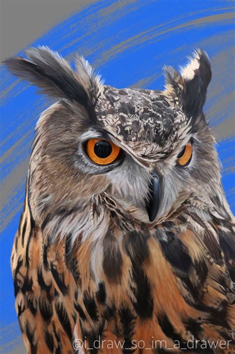 Horned Owl Artofit