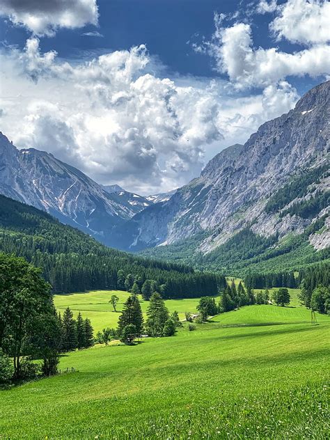 Landscape, Sunset, Mountain, Flower, Tree, Switzerland, Valley, Cloud ...