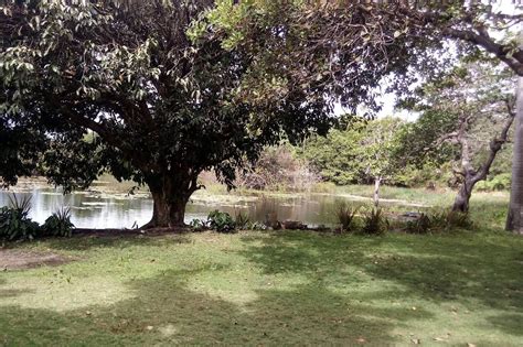 Chalé Silver Lake - Consulte disponibilidade e preços
