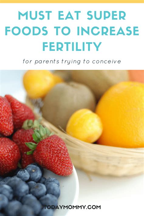 Foods That Increase Fertility For Quicker Conception Today Mommy