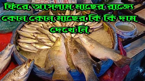 Fish Market Enjoy Moment And আমার দেখা সবচেয়ে বড় মাছ বাজার ঘুরে ঘুরে কি