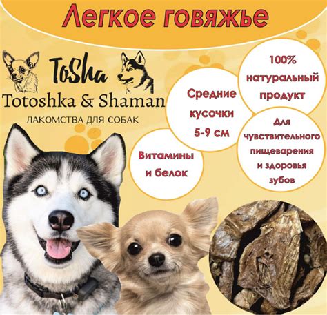 Легкое говяжье, 100г. купить на OZON по низкой цене (1462560799)