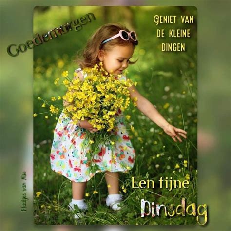 Pin By T Nettie Hal Meeuwesen On Kinderen Dinsdag Weekend Humor