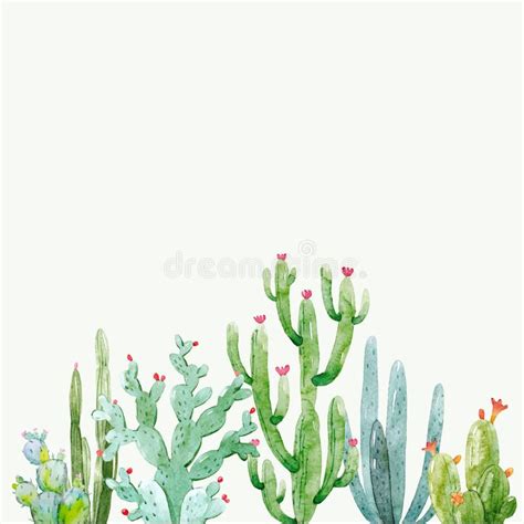 Composici N Del Vector Del Cactus De La Acuarela Ilustraci N Del Vector