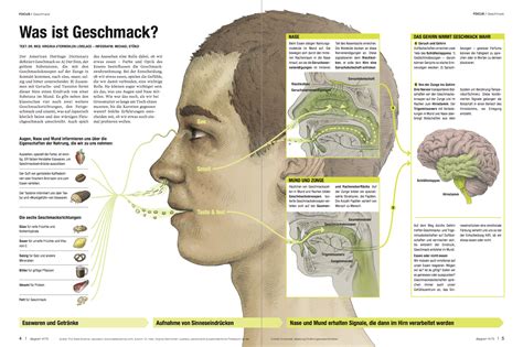 Infografik Geschmack Michael St Nzi