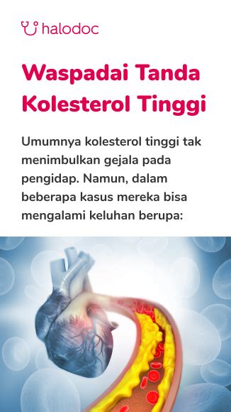 Ini Alasan Pentingnya Menjaga Tingkat Kolesterol Normal