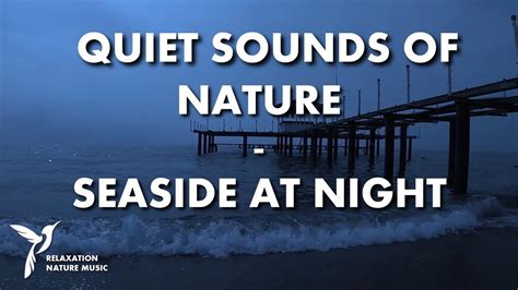 Sons Calmes De La Nature Bord De Mer La Nuit YouTube