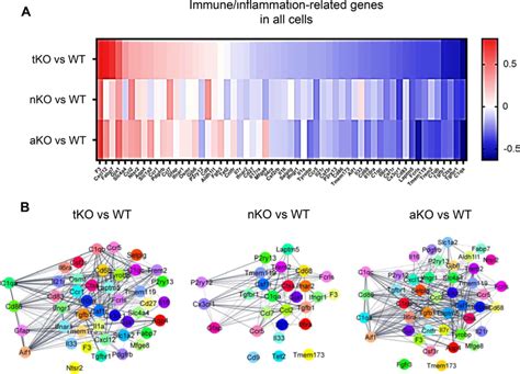 Differentially Expressed Immune And Inflammation Related Genes IGs