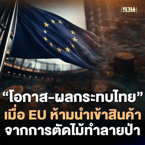 [ฐานเศรษฐกิจ Thansettakij] ส่องโอกาส ผลกระทบไทย เมื่อ Eu ห้ามนำเข้าสินค้าจากการตัดไม้ทำลายป่า