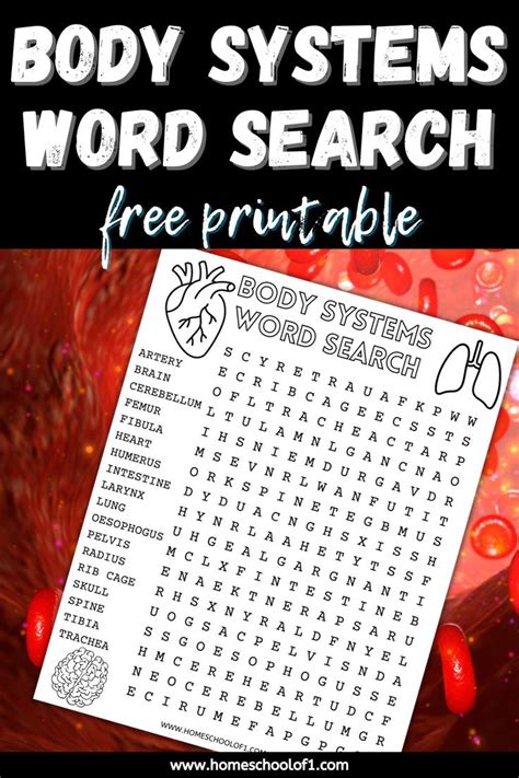 Human Body Systems Word Search Free Printable Homeschool Of One