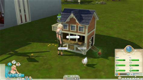 How To Clean Chickens Sims 4