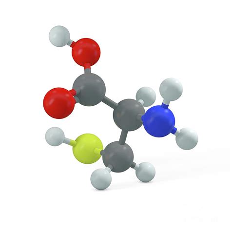 Cysteine Molecule By Adam Brackenbury Science Photo Library