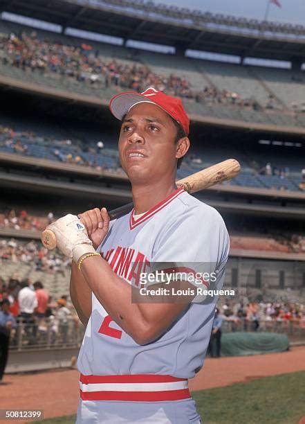 371 Tony Perez Reds Stock Photos High Res Pictures And Images Getty