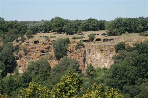 Riserva Naturale Monte Casoli A Bomarzo Urbicapus