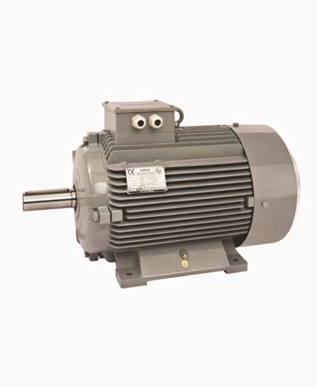 Sabarpumps 3 Phase AC Induction Motor Manufacturers Exporters In