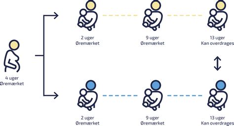 Den Nye Barselslov Alt Om Barselsregler N R Du Laver L N Prol N