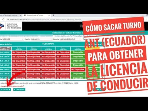 Como Obtener Turno Ant Para Sacar La Licencia De Conducir Ecuador