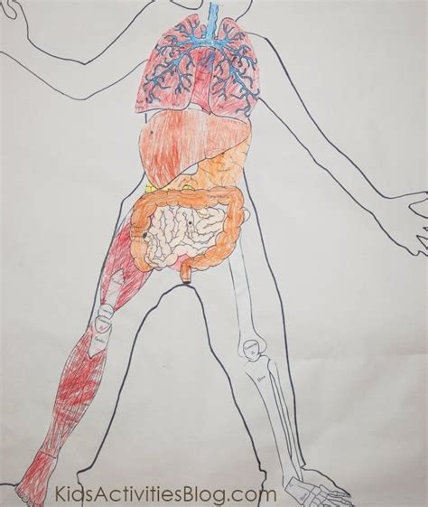 List 105+ Pictures Inside The Human Body Videos Completed