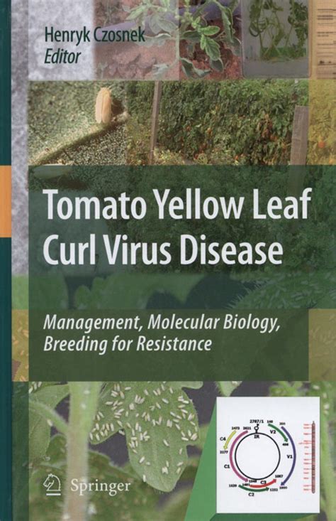 Tomato Yellow Leaf Curl Virus Disease: Management, Molecular Biology ...