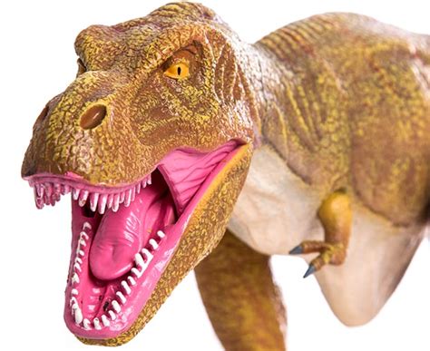 Geoworld Dino Dan Tyrannosaurus Rex Brown Au