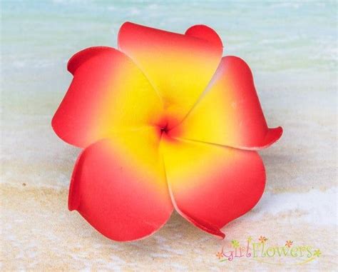 Red Hair Clip Plumeria Inch Beach Hair Clips Foam Flowers Flowers