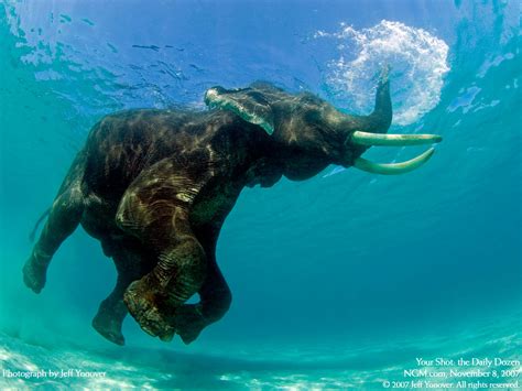 Andaman Nicobar Islands Andaman Tour Packages Andaman Nicobar