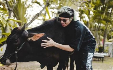 Daftar Artis Kurban Sapi Jumbo Di Mulai Bobot Ton Hingga