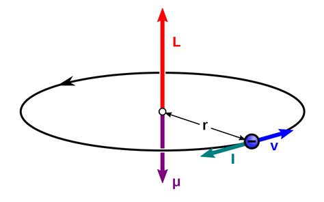 Laws Of Nature — The Magnetic Moment In Terms Of Angular Momentum